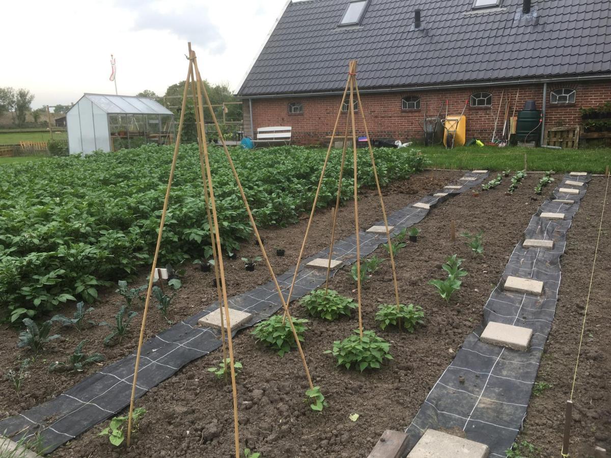 Onder De Boom Panzió Gerkesklooster Kültér fotó